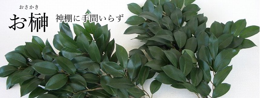 光触媒　人工観葉植物　フェイクグリーン　ディフェンバキア1.35 光触媒 光の楽園 ディフェンバキア90【インテリア フェイク