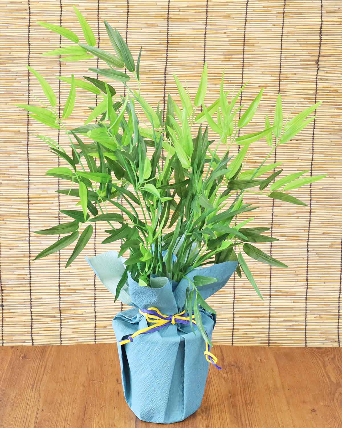 |̔A75cm  CTG}