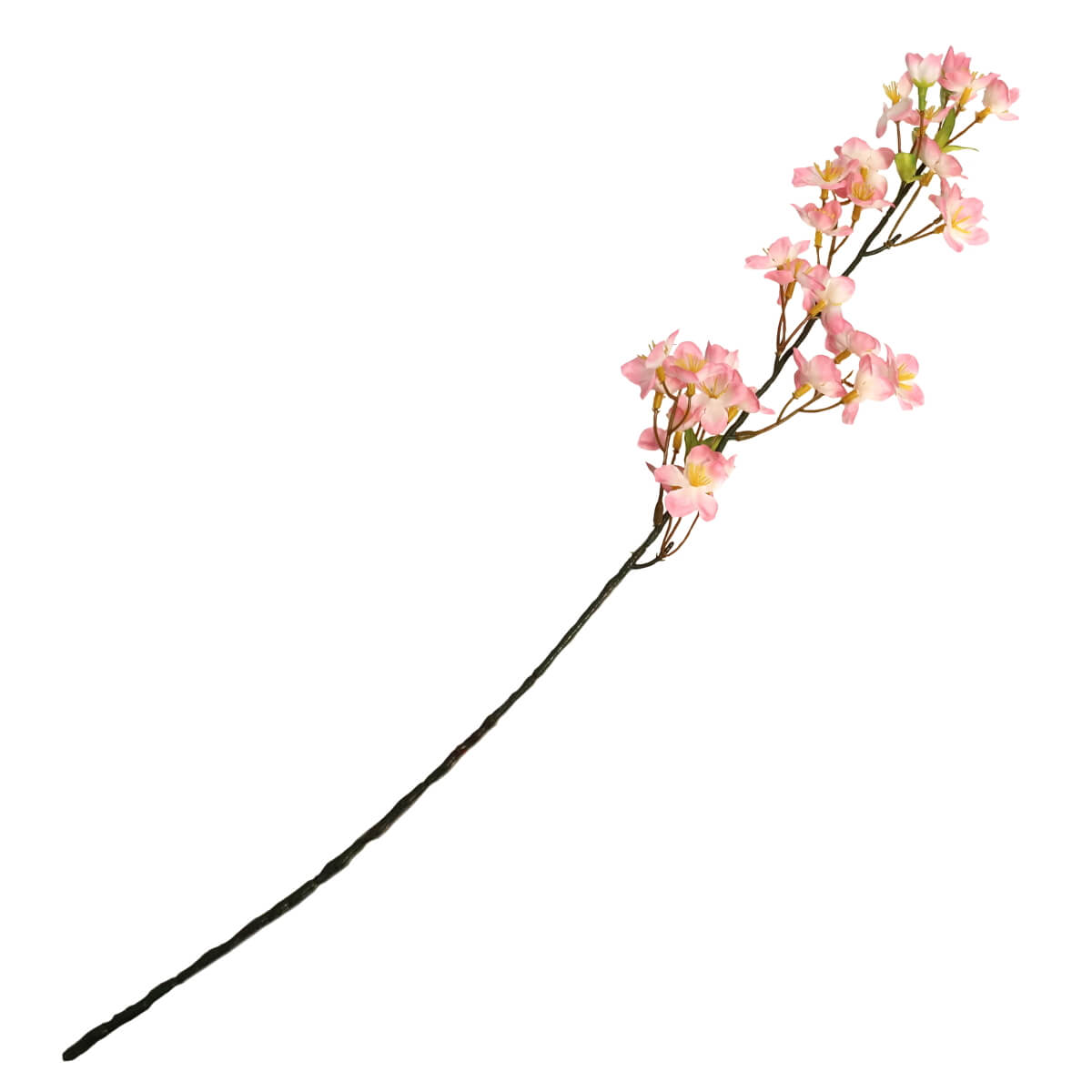 桜の小枝