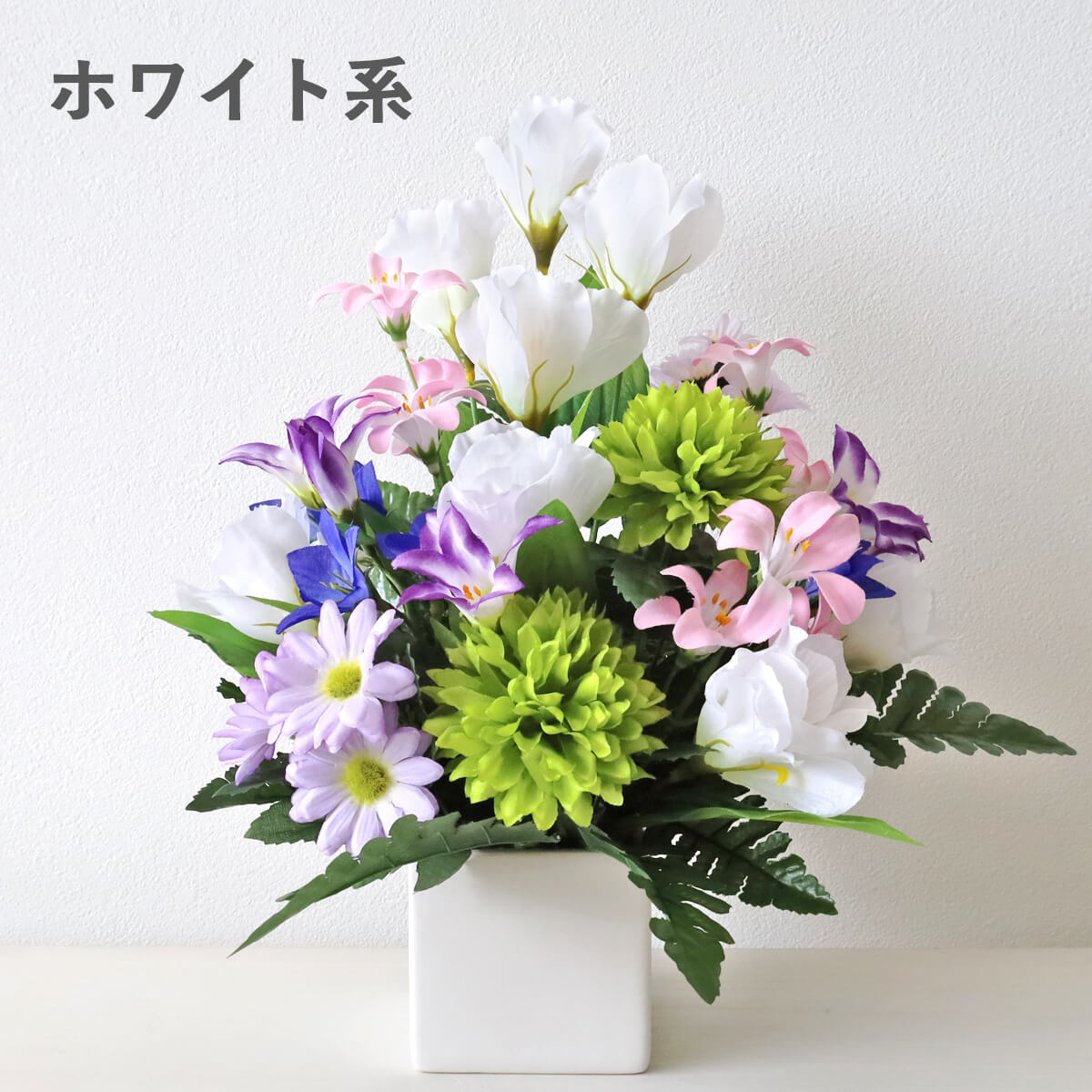 �g���R�L�L���E�ƃ��i���L�����X�̃A�����W