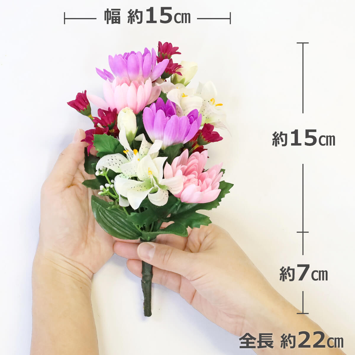 �e�̕��l�̏��ԑ���� ���� ���� CT�G�}