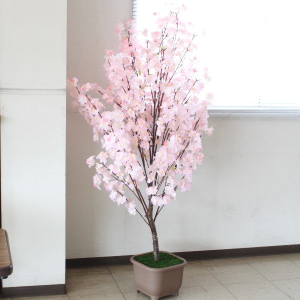 造花 桜 木 ピンク色の桜の鉢植え 特大 160cm 観葉植物 インテリア Ct触媒 Snb ディスプレイ用アレンジ シルクフラワーの山久