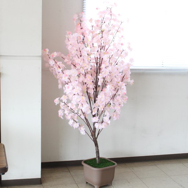 桜 造花 木 ピンク色の桜の鉢植え 特大 160cm 観葉植物 インテリア CT触媒 snb 