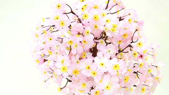 【造花】桜 ピンク色の桜の鉢植 70cm 観葉植物 CT触媒