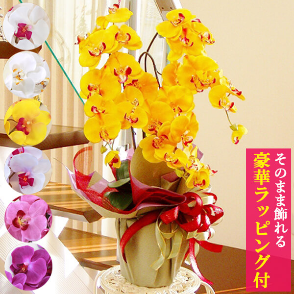 造花】優雅で高貴なシルクフラワーの胡蝶蘭 鉢植え ３本立ち CT触媒 