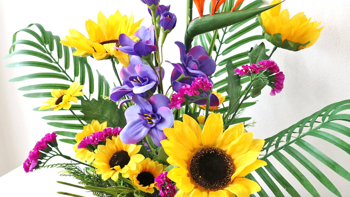 ��ւ̂Ђ܂��ƃX�g���`�A�̑�U��ȃA�����W ���� �q�}���� CT�G�}