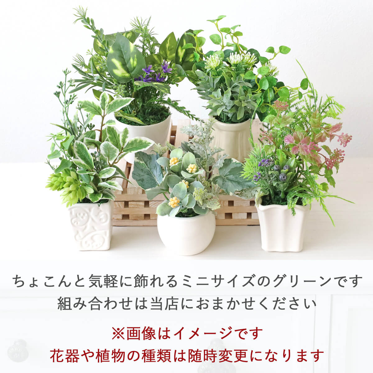 �v�`�O���[���A�����W���܂���5�Z�b�g���� �ϗt�A�� ���� CT�G�}