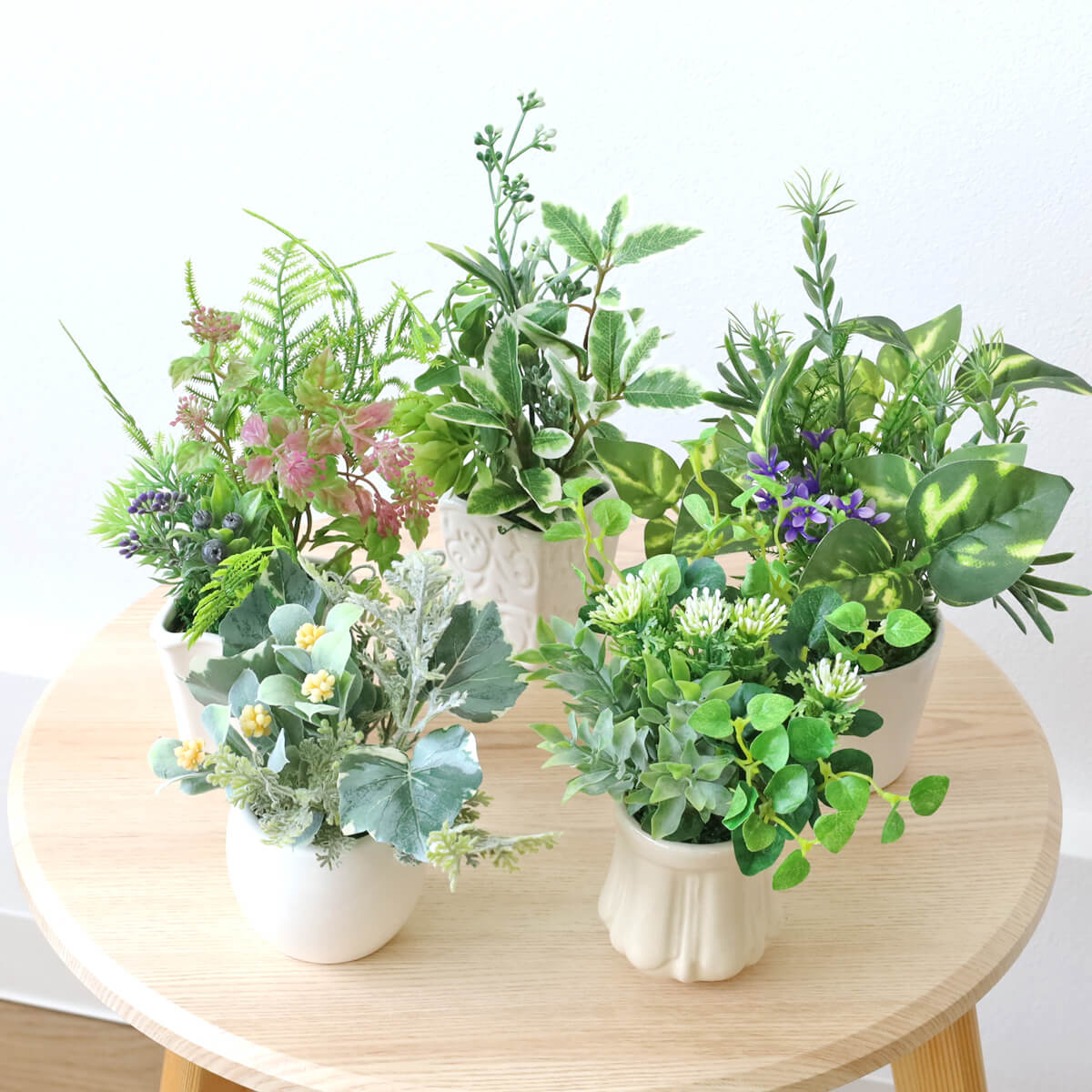 �v�`�O���[���A�����W���܂���5�Z�b�g���� �ϗt�A�� ���� CT�G�}