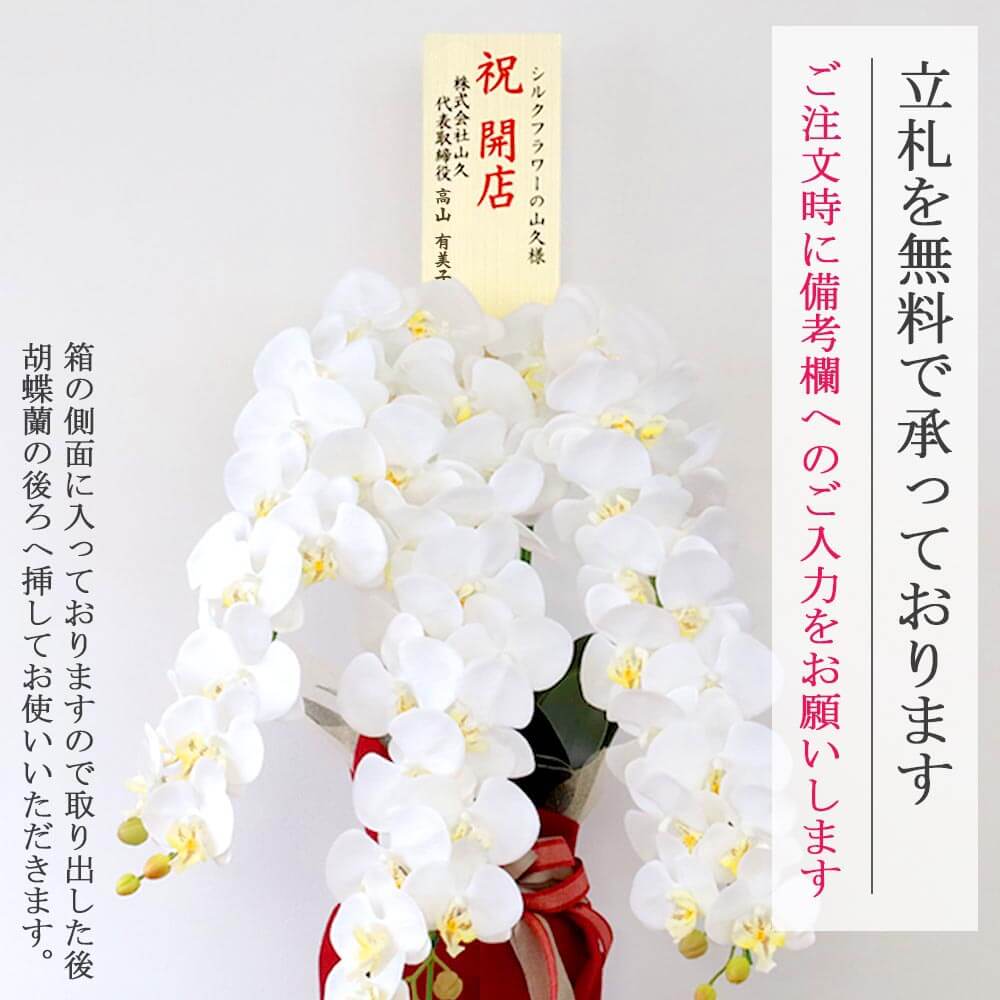  Ӓ  3{ zCg CiӂVNt[̌Ӓ̔A CTG} G} 