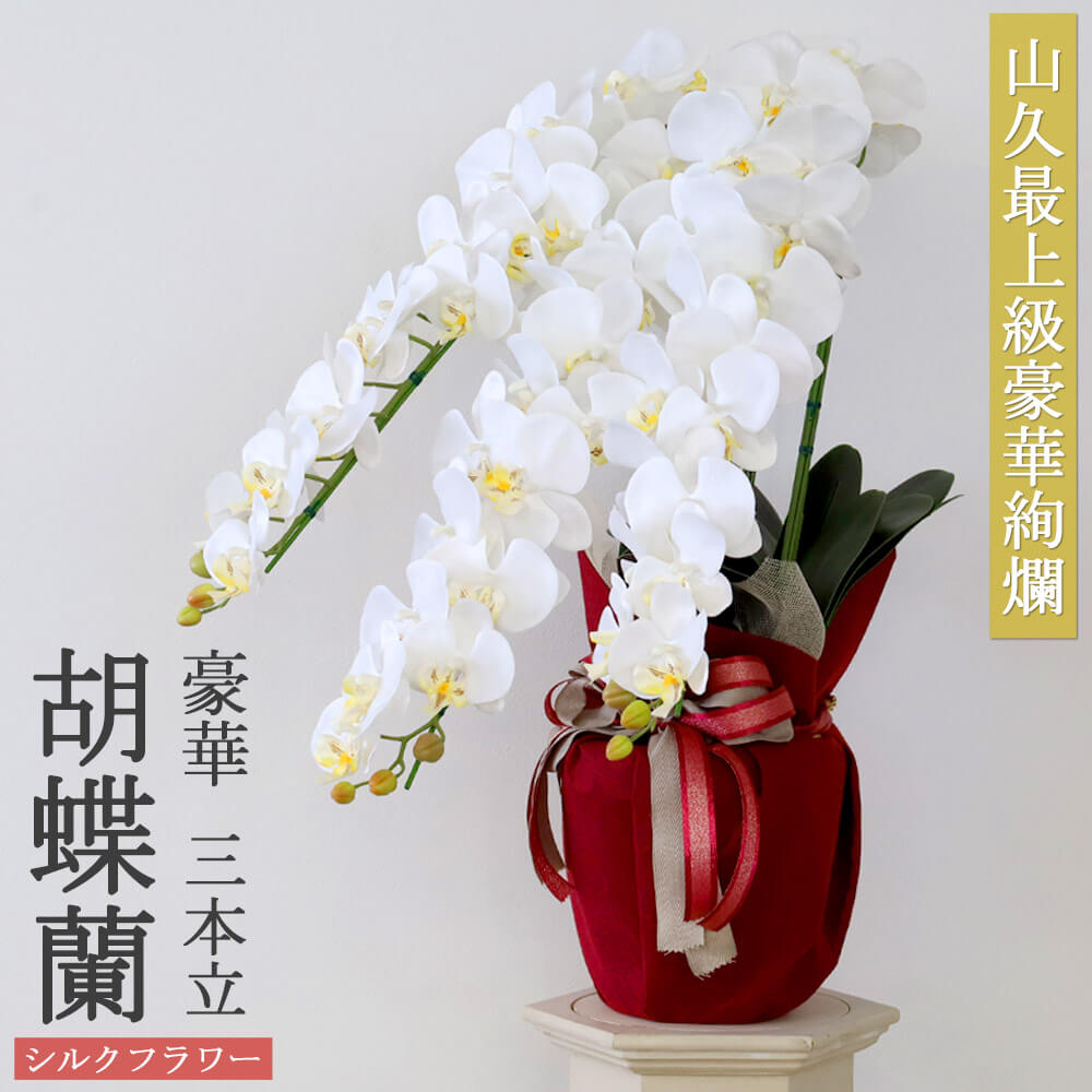  Ӓ  3{ zCg CiӂVNt[̌Ӓ̔A CTG} G} 
