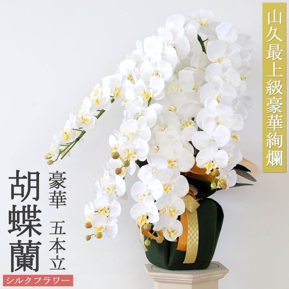  Ӓ  5{ zCg CiӂVNt[̌Ӓ̔A CTG} G}  snb bpl