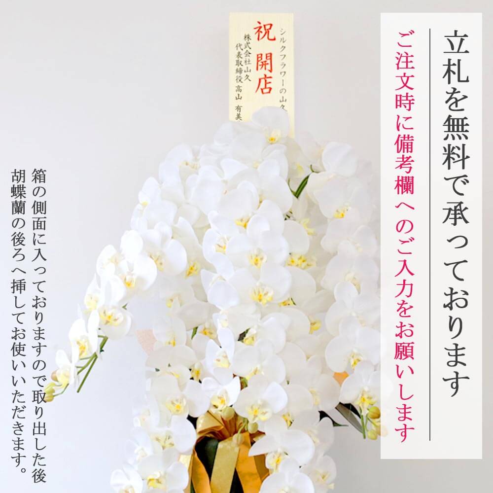 Ӓ  5{ zCg CiӂVNt[̌Ӓ̔A CTG} G}  snb bpl