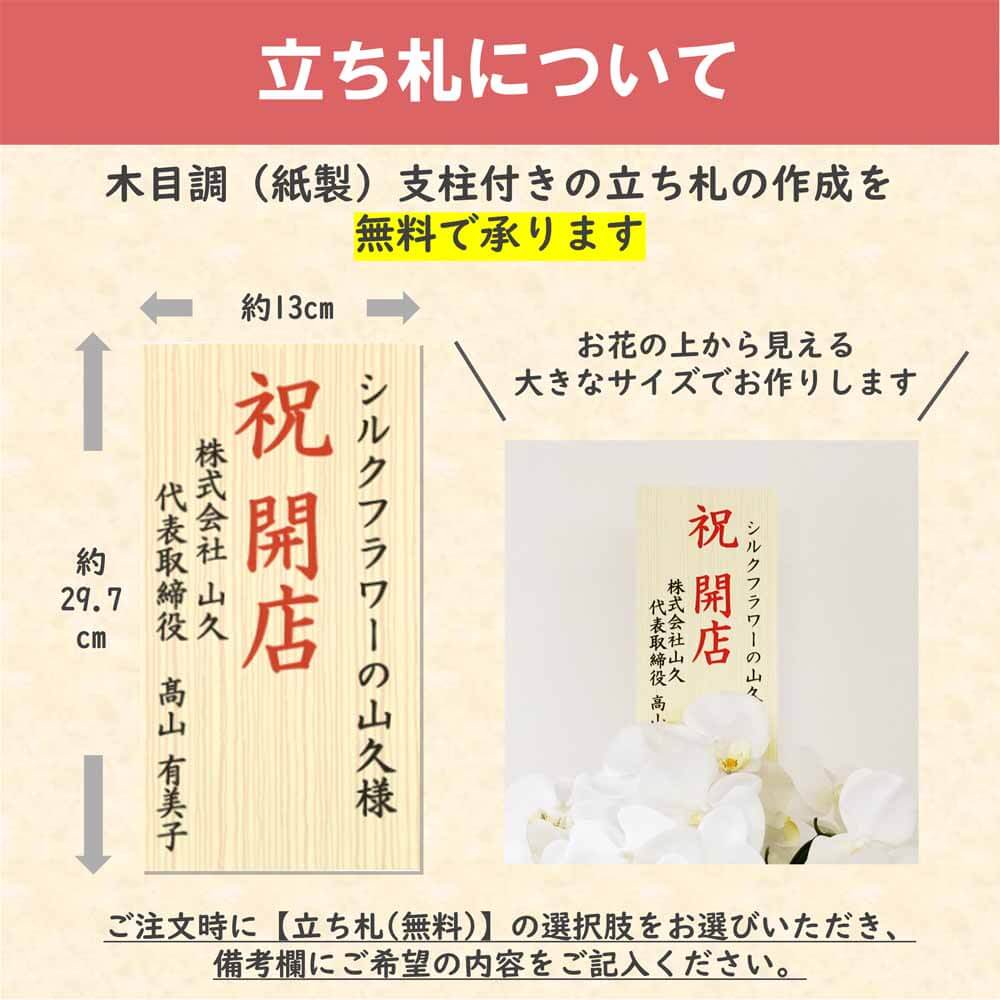 Ӓ  5{ zCg CiӂVNt[̌Ӓ̔A CTG} G}  snb bpl