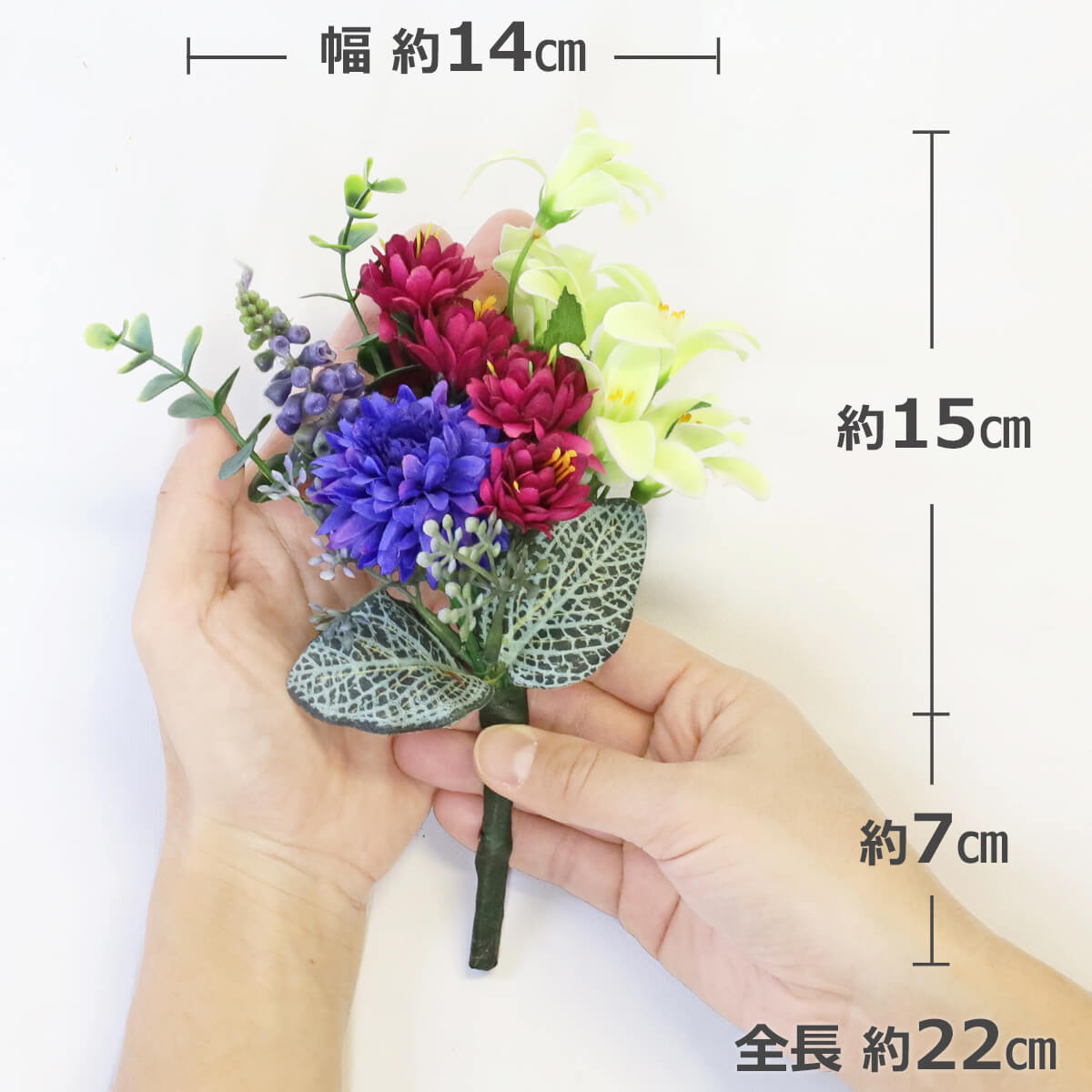 �{�[���}���ƃv�������A�̏��ԑ� ��� ���� ���� CT�G�}