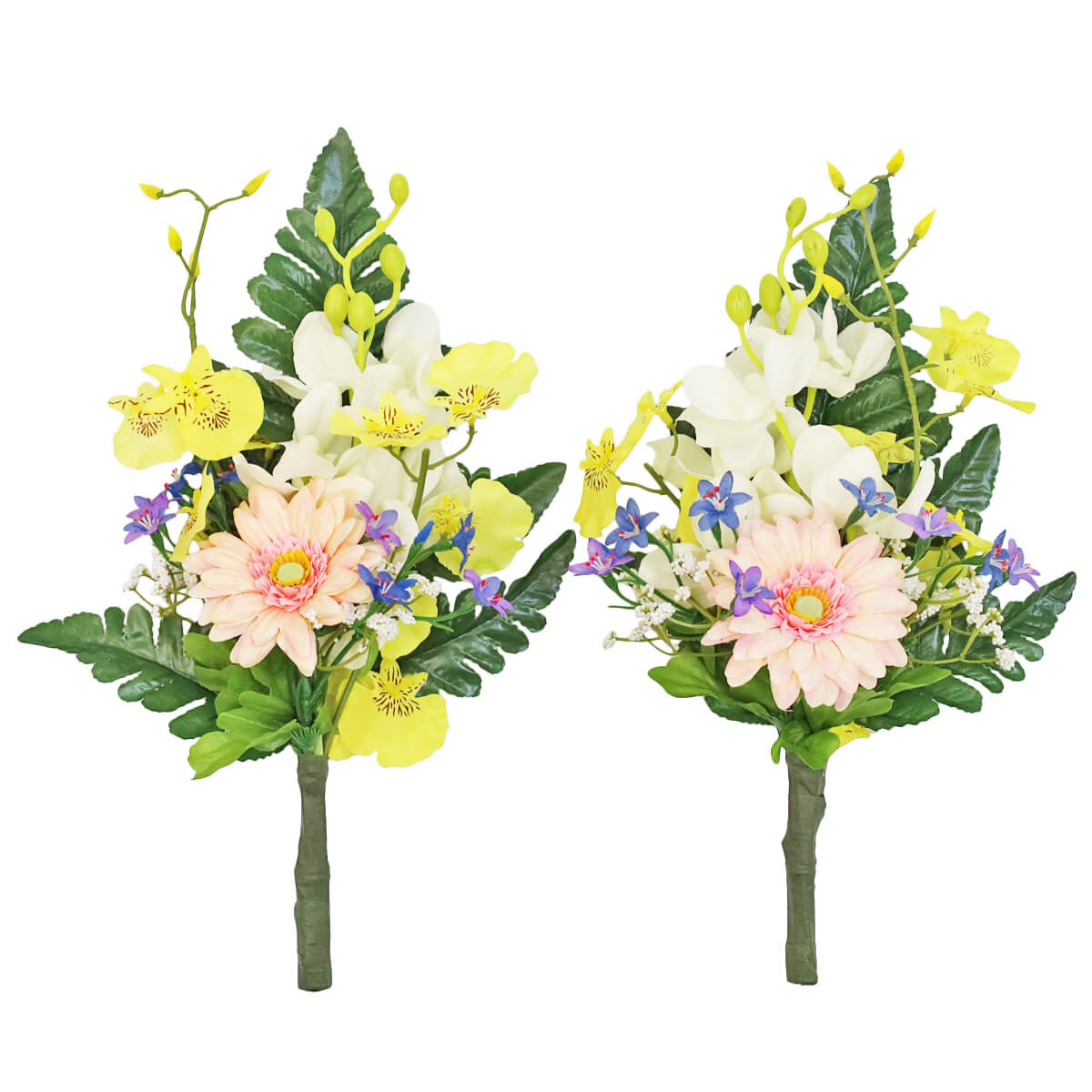 ���J���ƃI���V�W���E���̏��ԑ� ��� ���� ���� CT�G�}