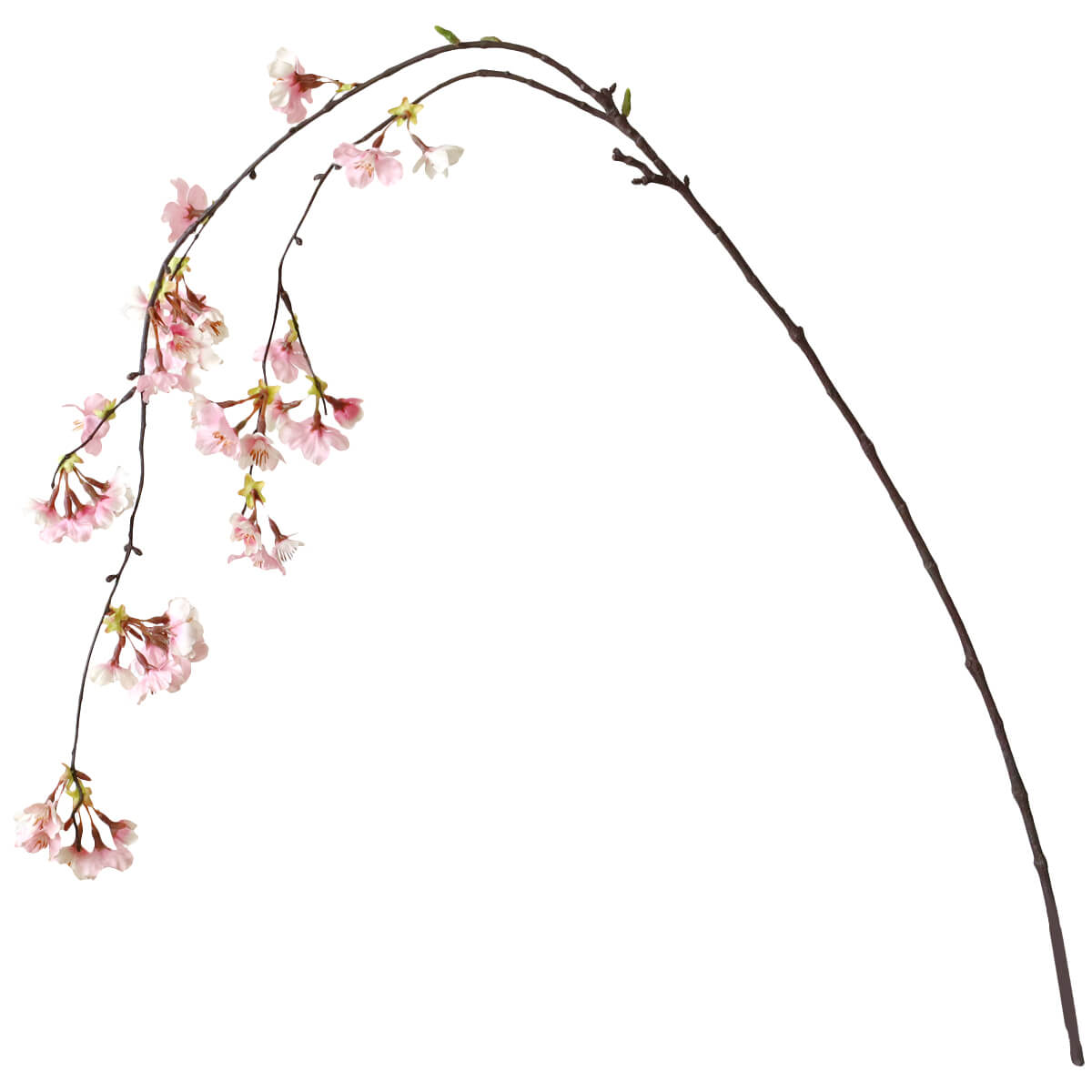 �y���ԁz �� �} �V�_���I�I���}�U�N��M 1�{ ��116cm ���̑�} VE6639