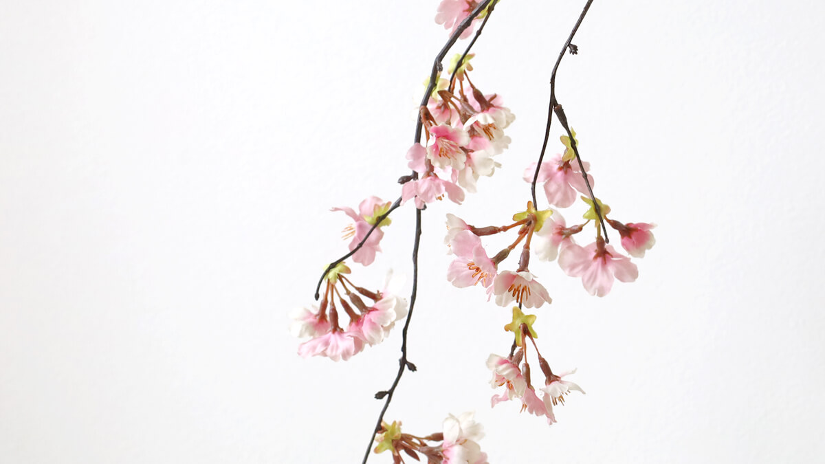 �y���ԁz �� �} �V�_���I�I���}�U�N��M 1�{ ��116cm ���̑�} VE6639