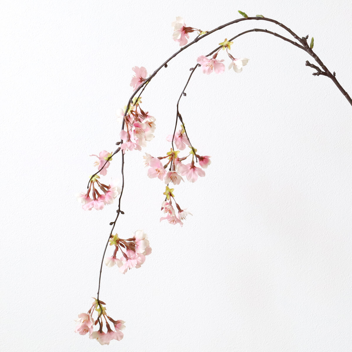 �y���ԁz �� �} �V�_���I�I���}�U�N��M 1�{ ��116cm ���̑�} VE6639