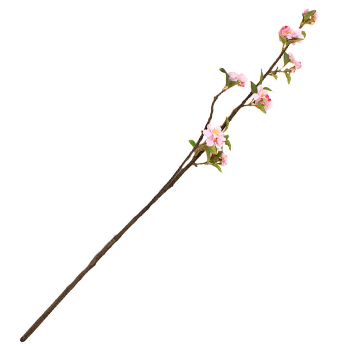 �y���ԁz �� �} �`�F���[�u���b�T�� 1�{ 95cm PSI-113