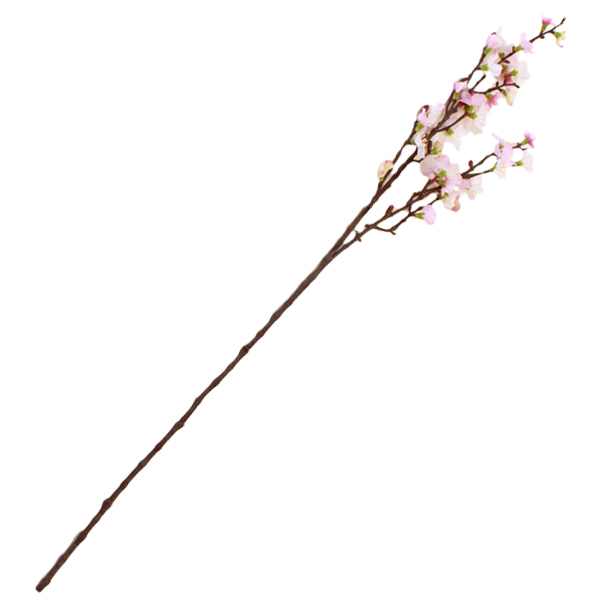 �y���ԁz �� �} �g�R�� �� 77cm FM3956