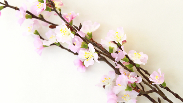 �y���ԁz �� �} �g�R�� �� 77cm FM3956