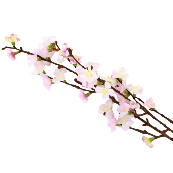 �y���ԁz �� �} �g�R�� �� 77cm FM3956