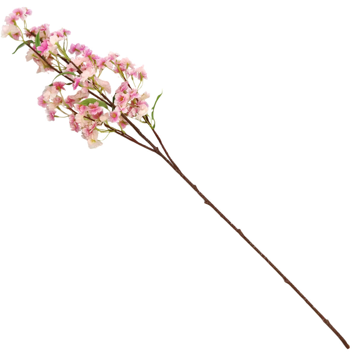 �y���ԁz �� �} �����R�� 102cm FM2220