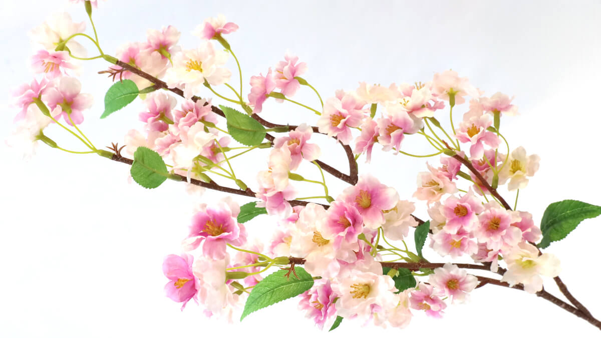 �y���ԁz �� �} �����R�� 102cm FM2220