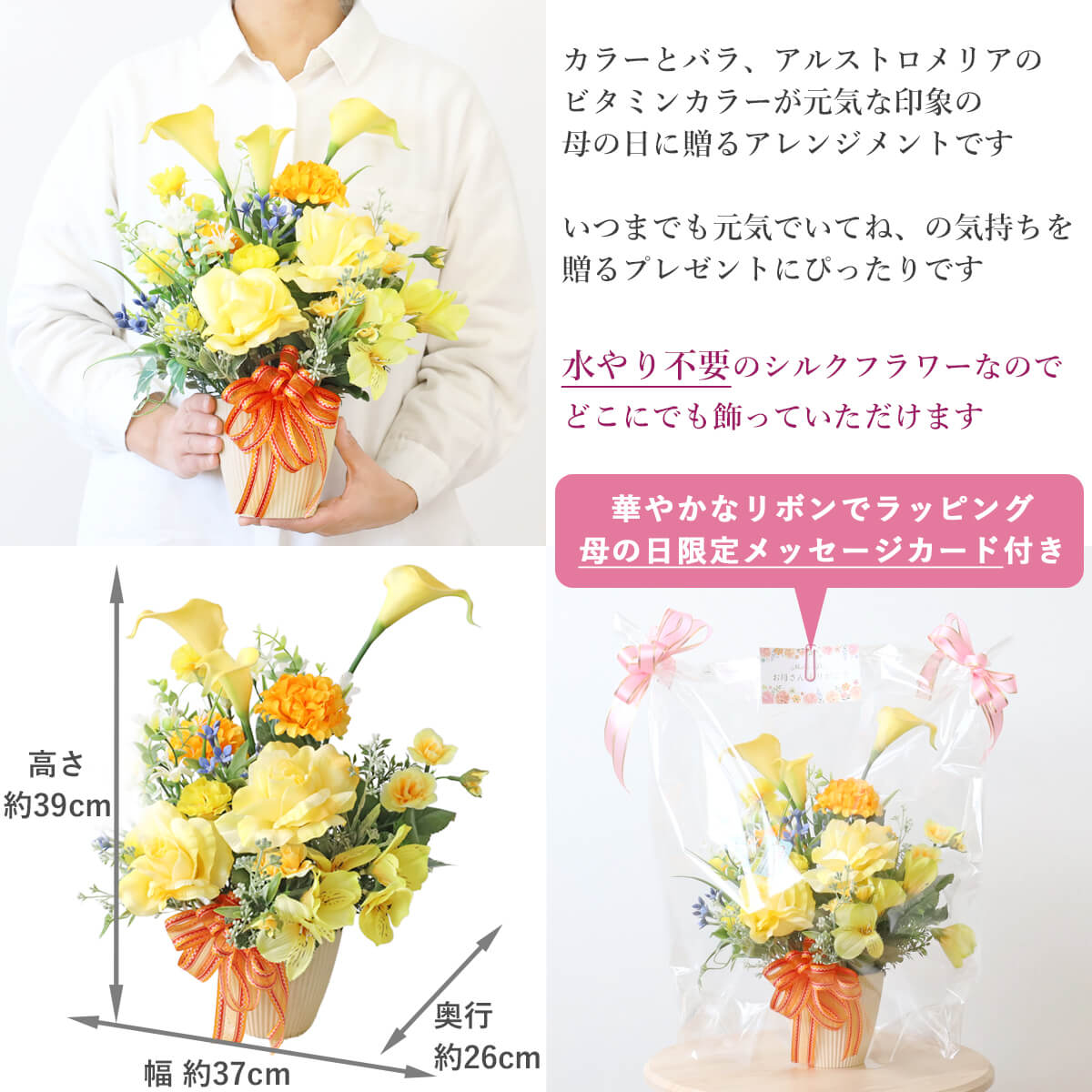 ��̓� ���� �J���[�ƃA���X�g�������A�̃A�����W �� �M�t�g CT�G�} �V���N�t�����[ �t�����[�A�����W�����g