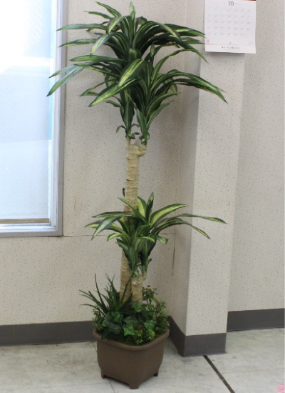 ドラセナツリー 150cm 造花 観葉植物 大型 CT触媒 snb