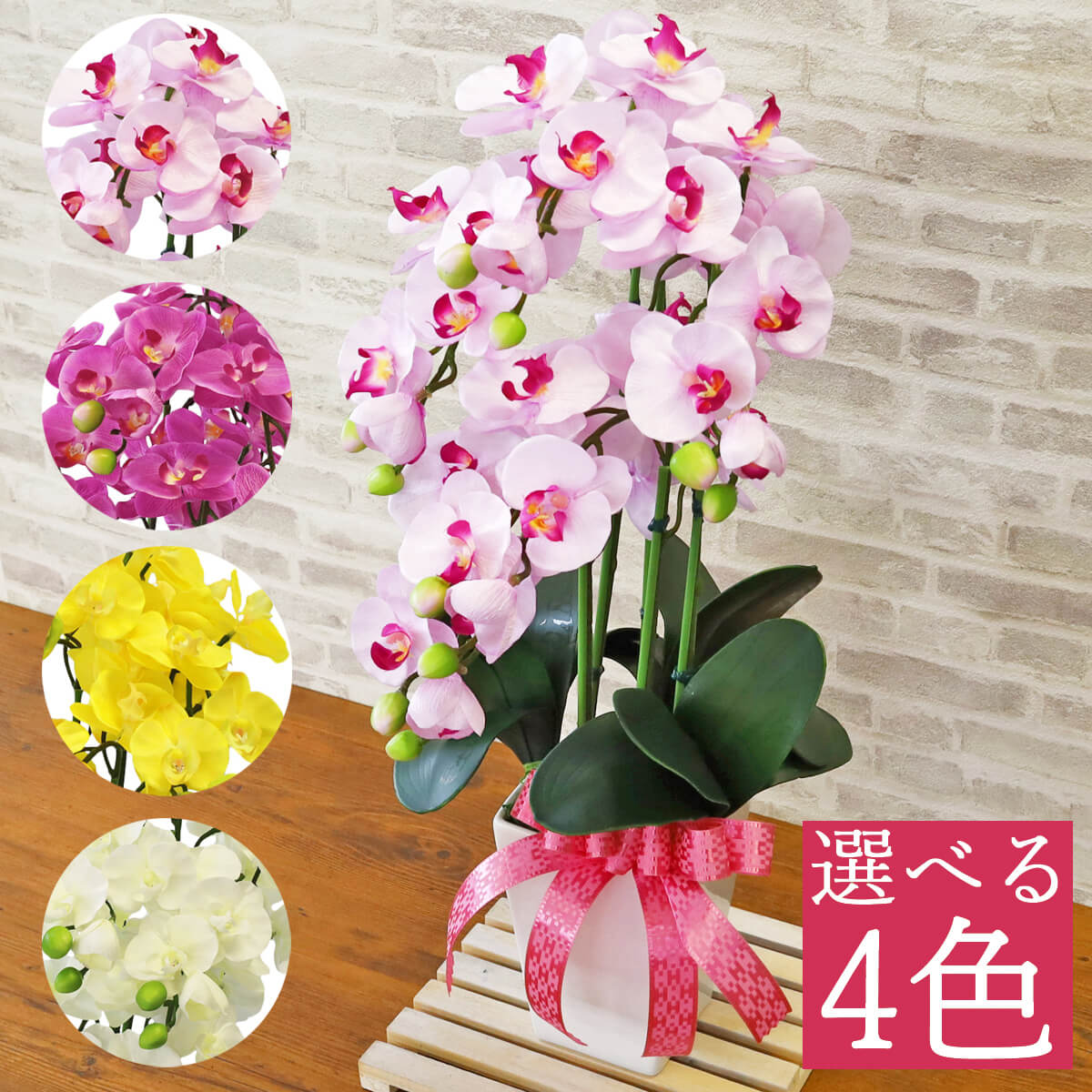 �~�j�Ӓ����̎荠�ȑ傫���̔��A��3�{���� CT�G�} ���� �V���N�t�����[ �C���e���A �t�����[�A�����W�����g