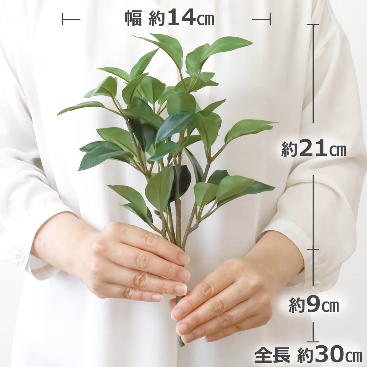 ������ ���� �V���N�t�����[�̂������� �~�j�T�C�Y ���(2�{�Z�b�g) ��30cm �V�L�~ ������ �V�L�r �� �n�i�V�o CT�G�}(���L�����E�h����p)���H�� ���� ���d �����E���O���p ������ ���� �͂�Ȃ� �����s�v ������