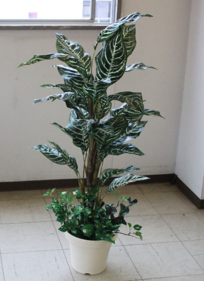 ゼブラ 110cm フェイクグリーン 造花 観葉植物 CT触媒 snb インテリア 