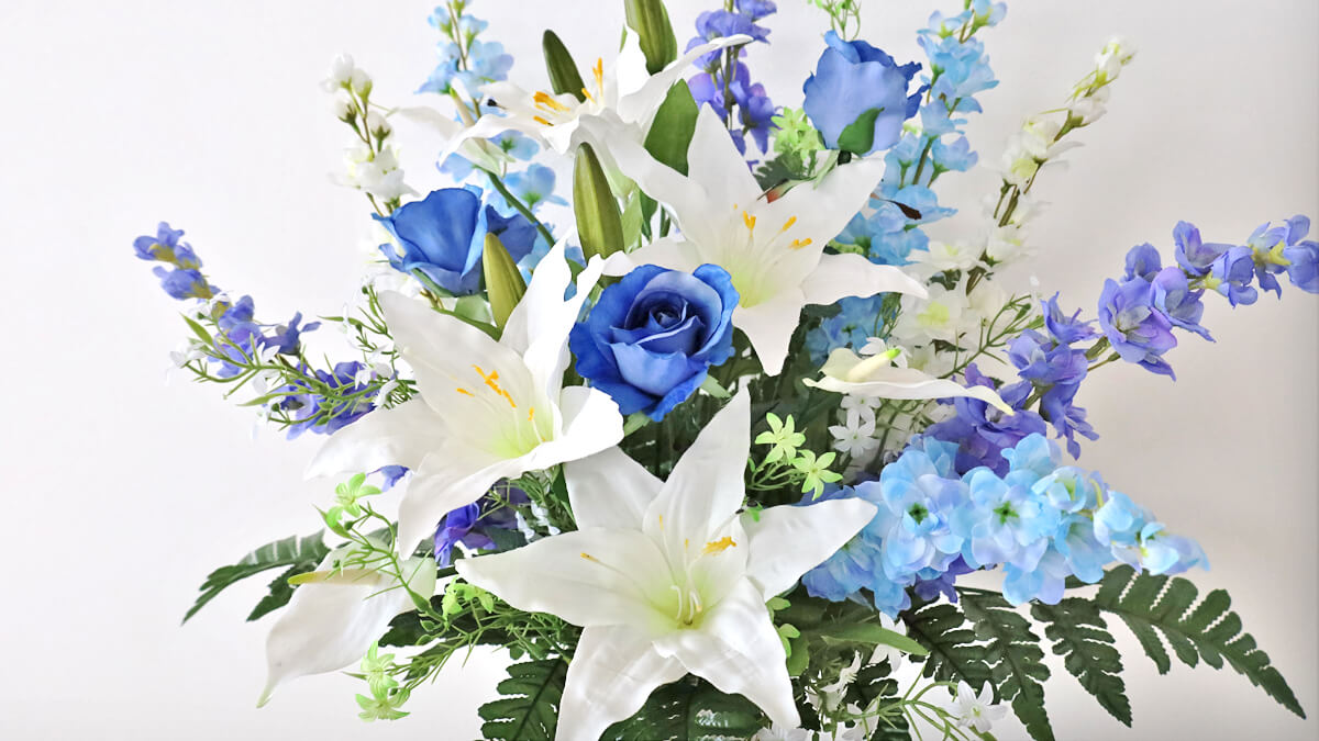 �yCT�G�}�z�f���t�B�j�E���ƃJ�T�u�����J�̍��؂ȃA�����W